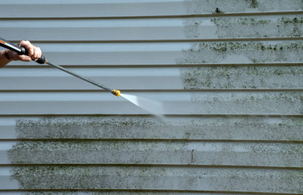 Best Gutter Cleaning  in South Run, VA
